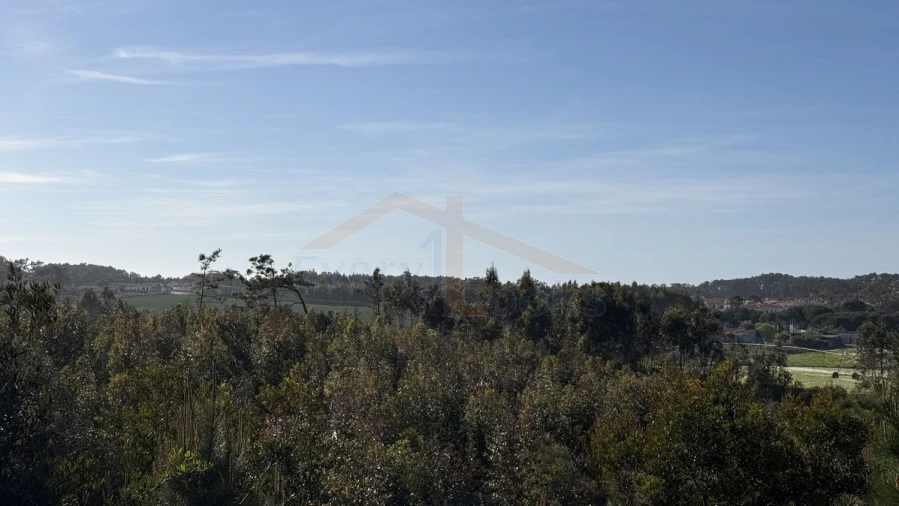 Terreno para Venda em Amoreira Foto 19