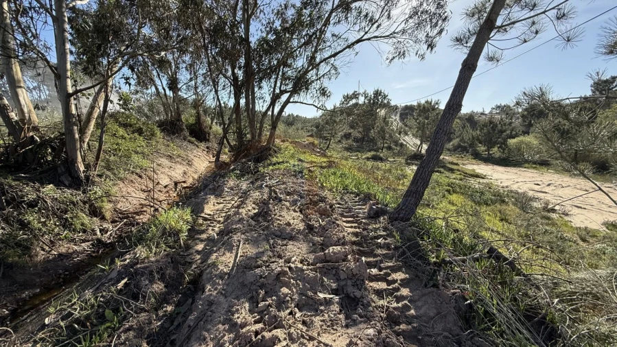 Terreno para Venda em Amoreira Foto 5