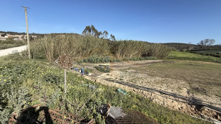 Terreno para Venda em Amoreira Foto 26