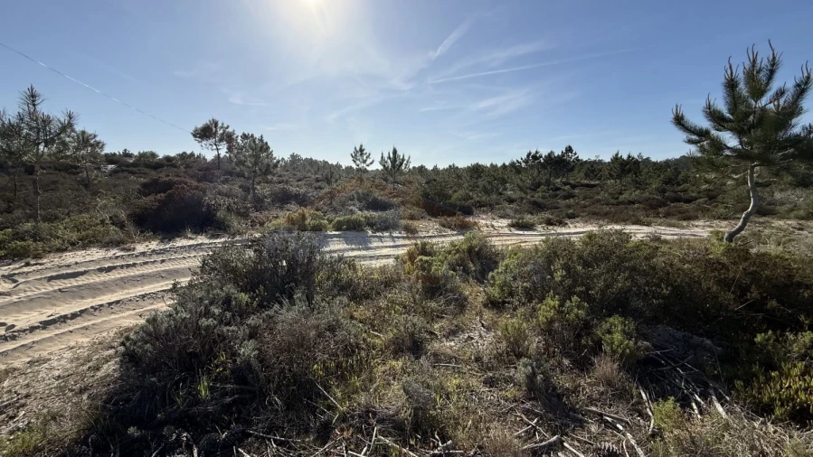Terreno para Venda em Amoreira Foto 11
