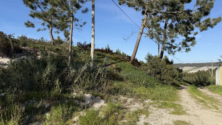 Terreno para Venda em Amoreira Foto 17
