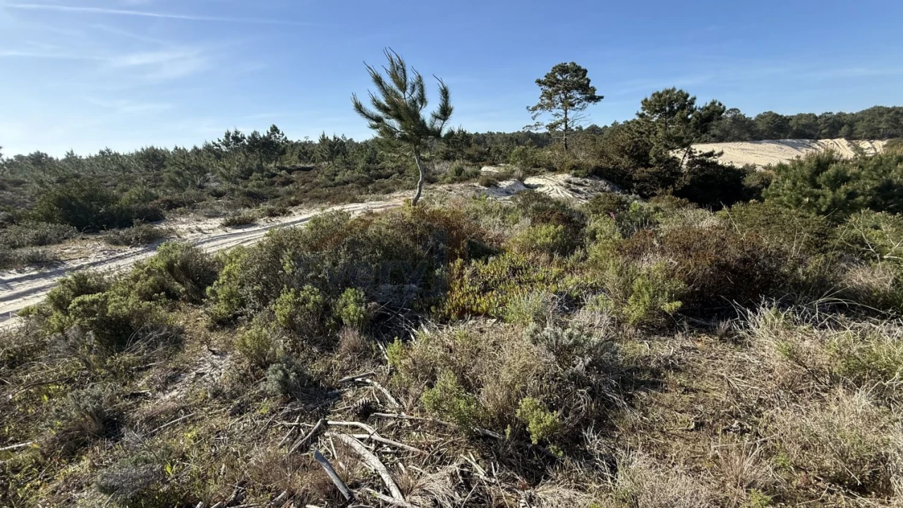 Terreno para Venda em Amoreira Foto 13
