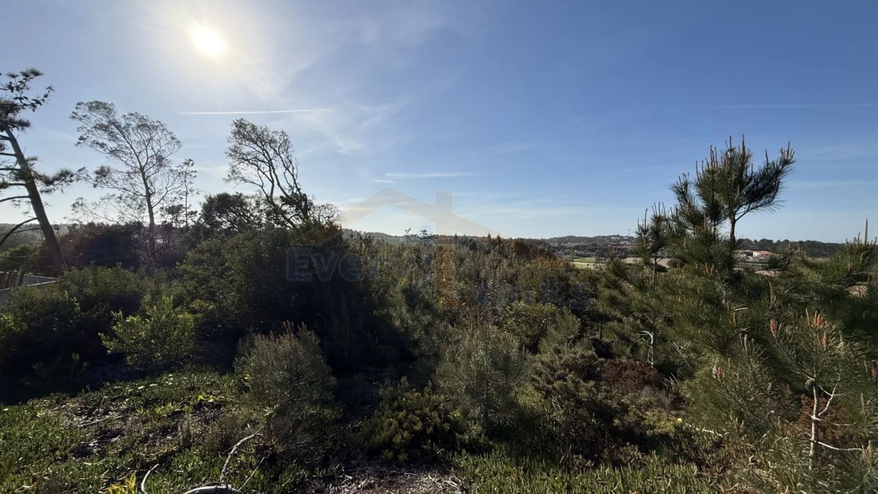 Terreno para Venda em Amoreira Foto 18
