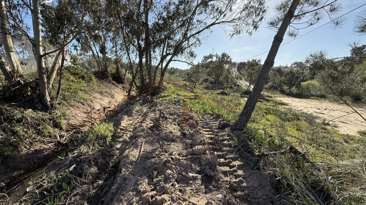 Terreno para Venda em Amoreira Foto 5