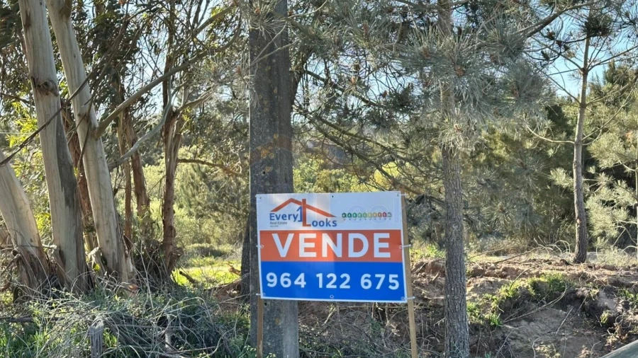 Terreno para Venda em Amoreira