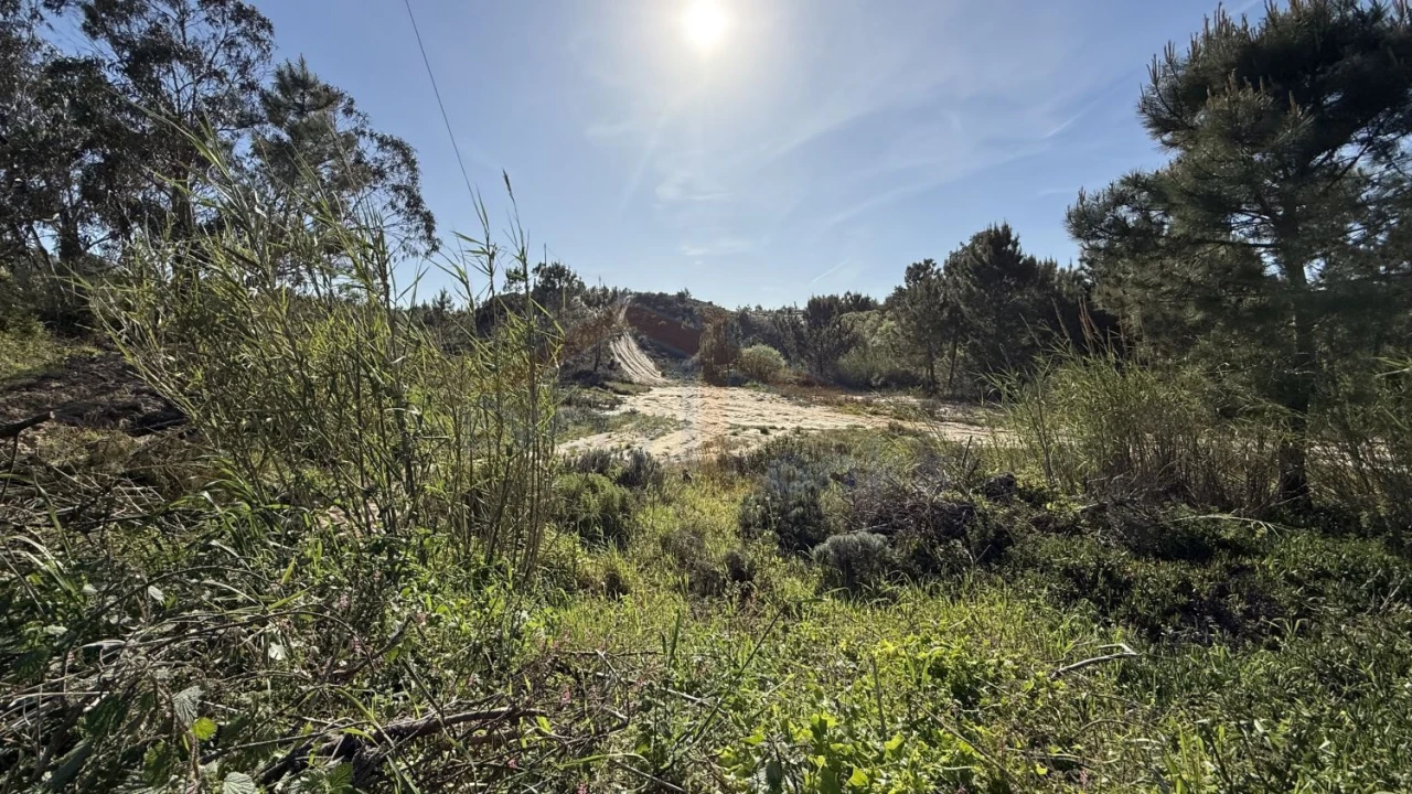Terreno para Venda em Amoreira Foto 6