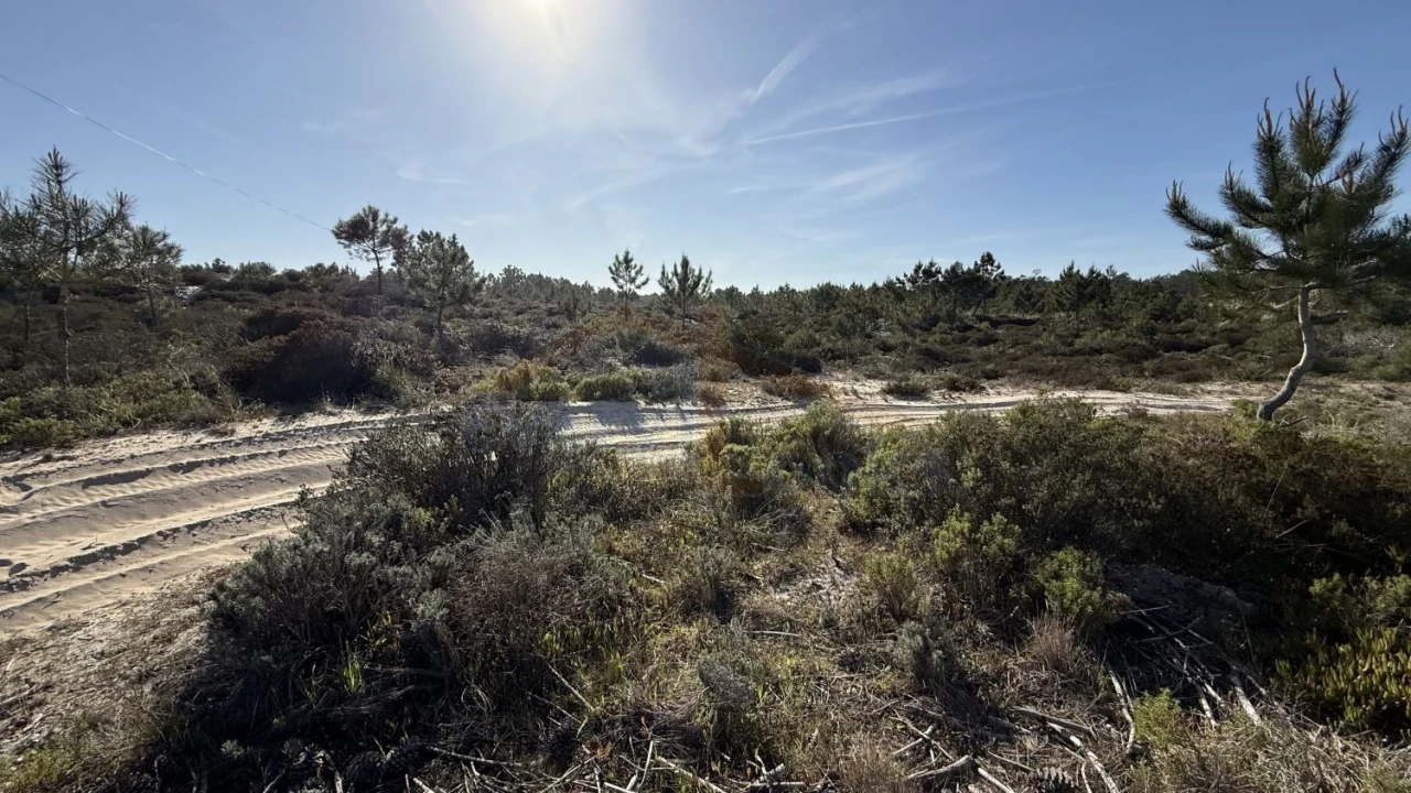 Terreno para Venda em Amoreira Foto 11