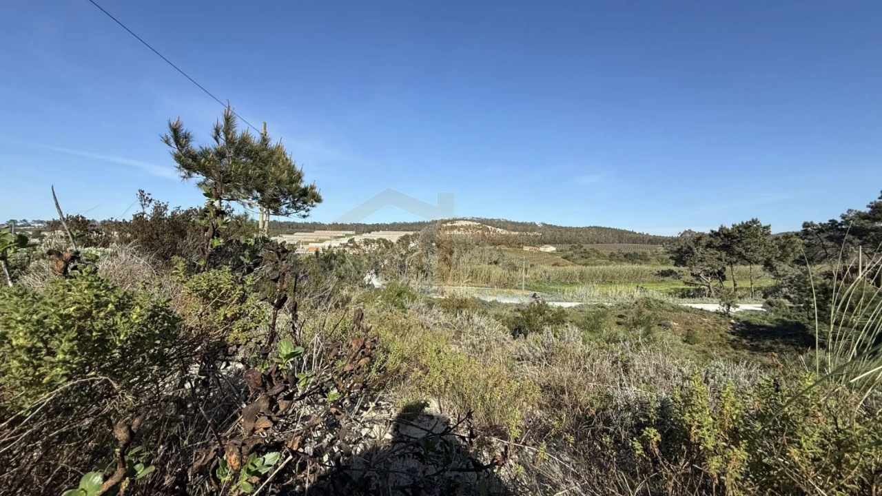 Terreno para Venda em Amoreira Foto 4