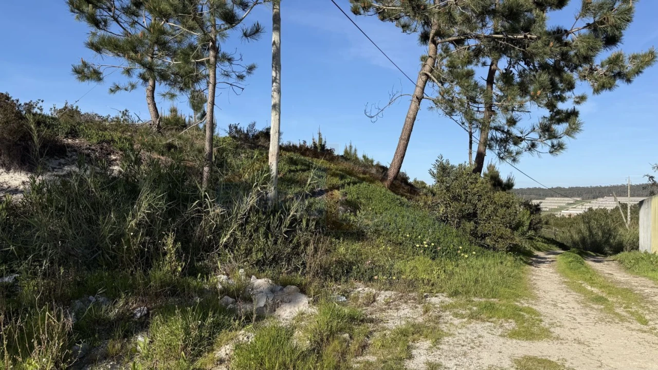 Terreno para Venda em Amoreira Foto 17