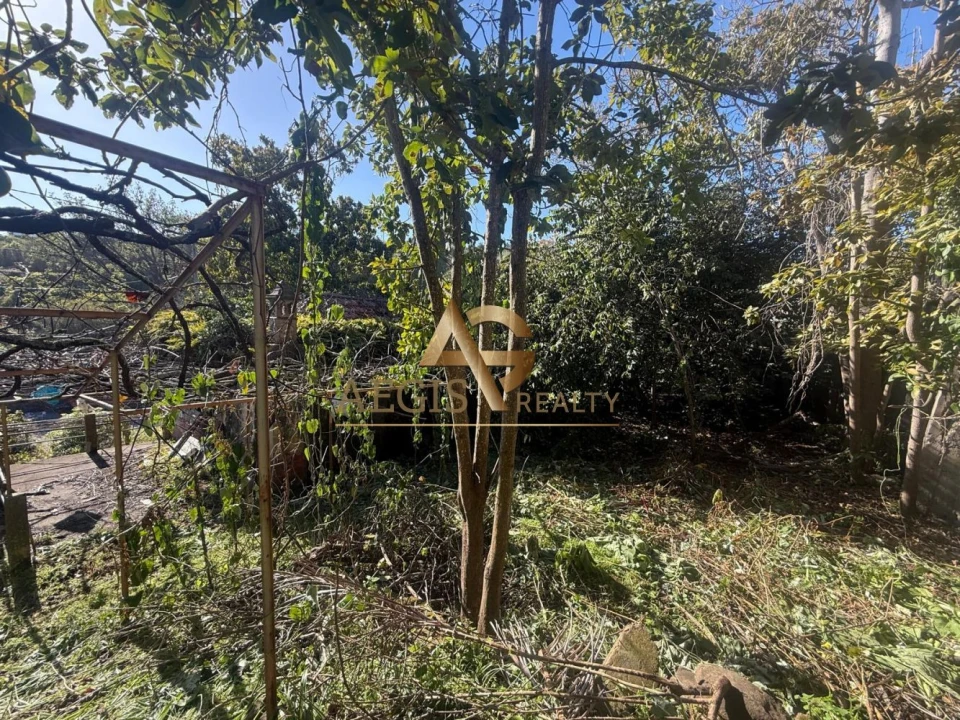 Terreno para Venda em Caniço Foto 36