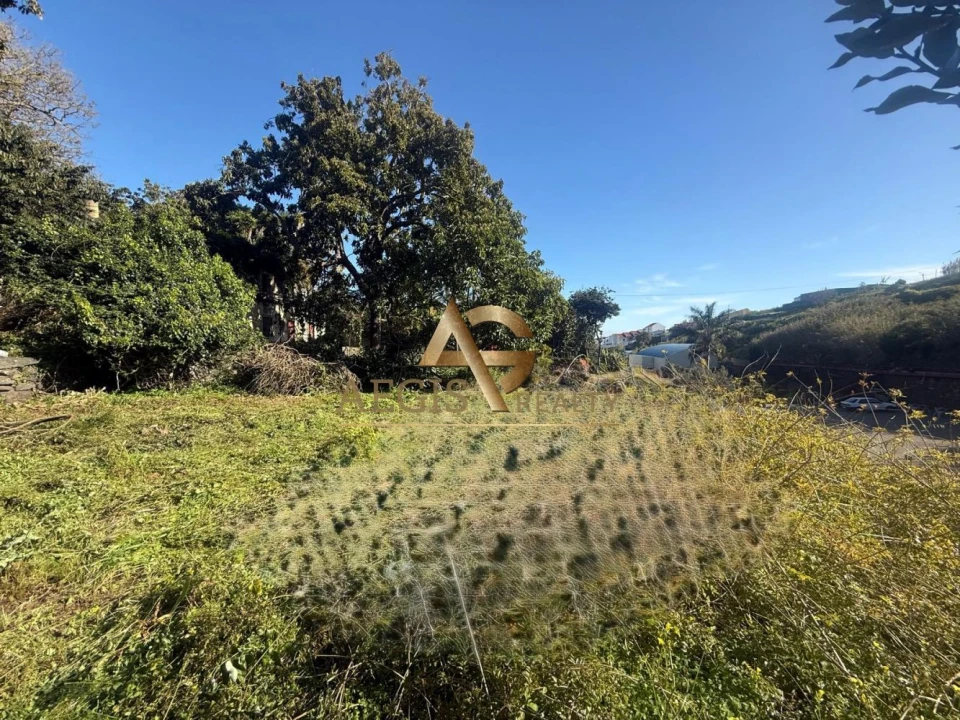 Terreno para Venda em Caniço Foto 32