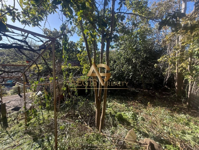 Terreno para Venda em Caniço Foto 9