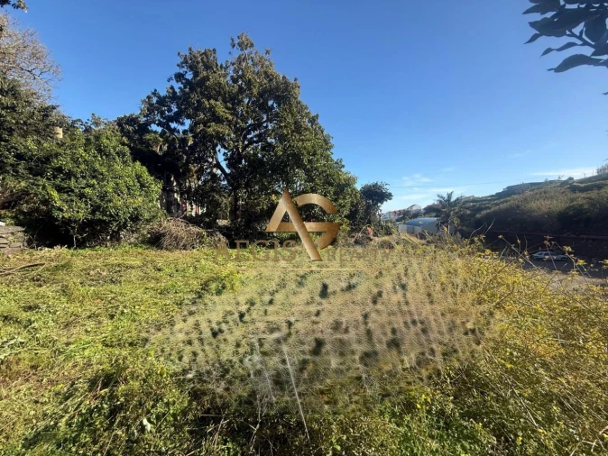 Terreno para Venda em Caniço Foto 32