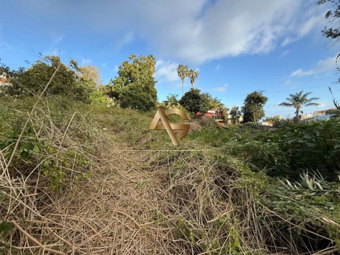 Terreno para Venda em Caniço Foto 23