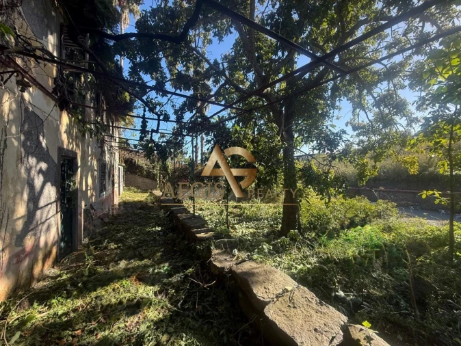 Terreno para Venda em Caniço Foto 34