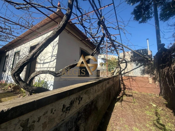 Terreno para Venda em Caniço Foto 37