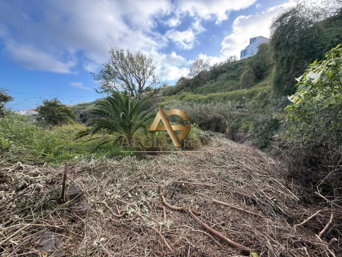 Terreno para Venda em Caniço Foto 26