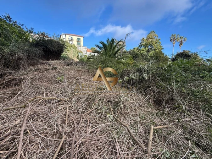 Terreno para Venda em Caniço Foto 25