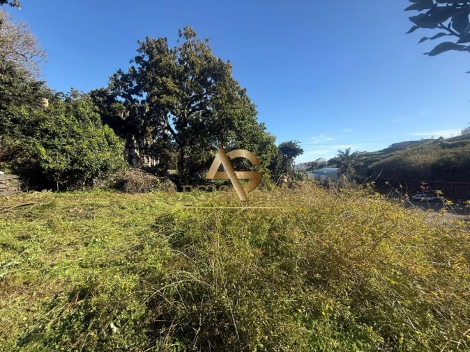 Terreno para Venda em Caniço Foto 22
