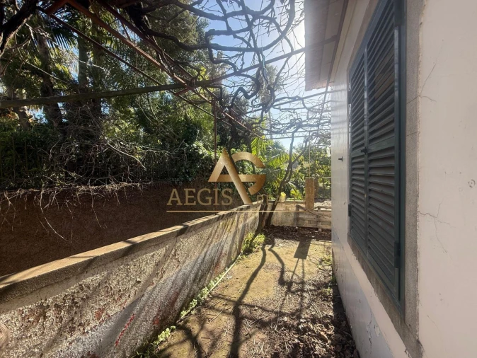 Terreno para Venda em Caniço Foto 5