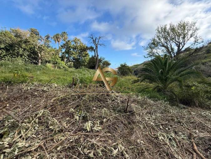 Terreno para Venda em Caniço Foto 27