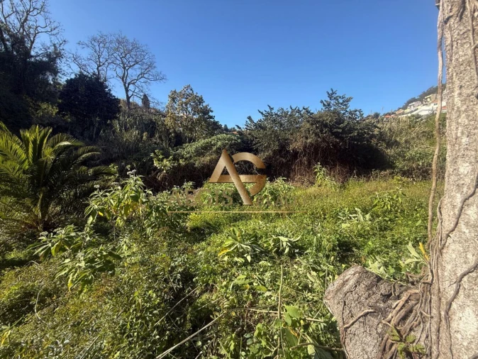 Terreno para Venda em Caniço Foto 19
