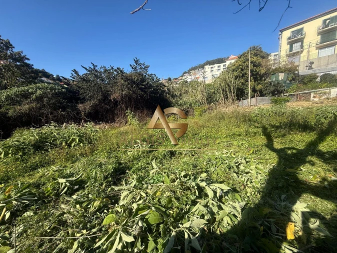 Terreno para Venda em Caniço Foto 30