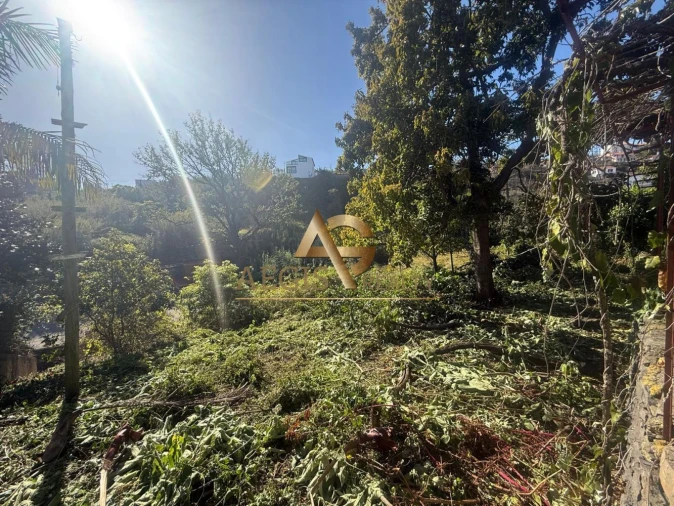 Terreno para Venda em Caniço Foto 35