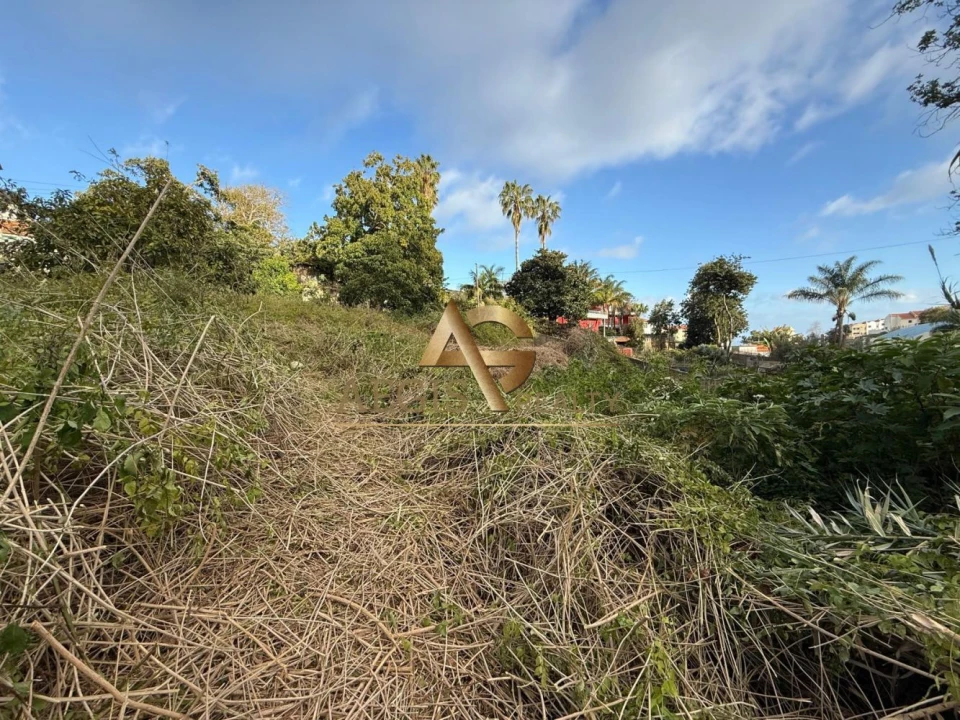 Terreno para Venda em Caniço Foto 23