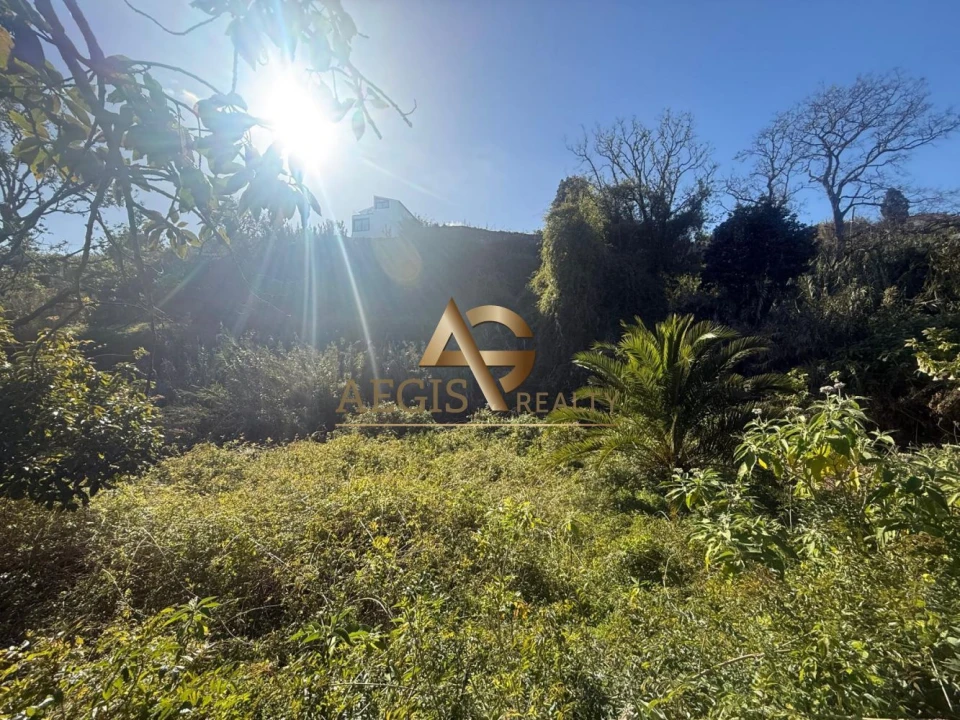 Terreno para Venda em Caniço Foto 31