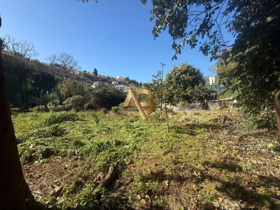 Terreno para Venda em Caniço Foto 33