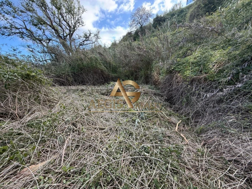 Terreno para Venda em Caniço Foto 24