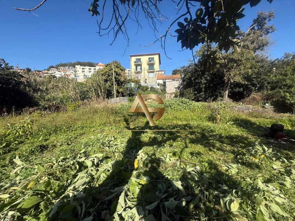 Terreno para Venda em Caniço Foto 21