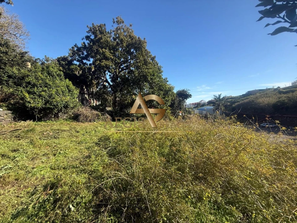Terreno para Venda em Caniço Foto 22