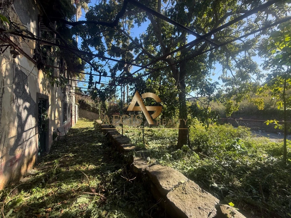 Terreno para Venda em Caniço Foto 11