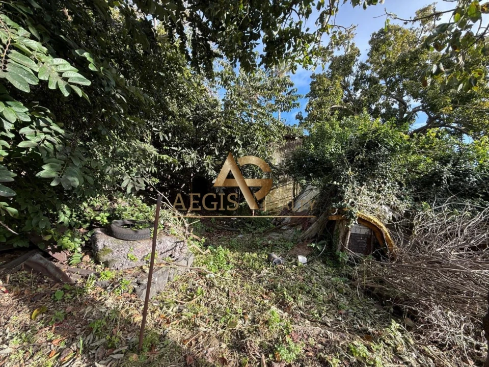 Terreno para Venda em Caniço Foto 29