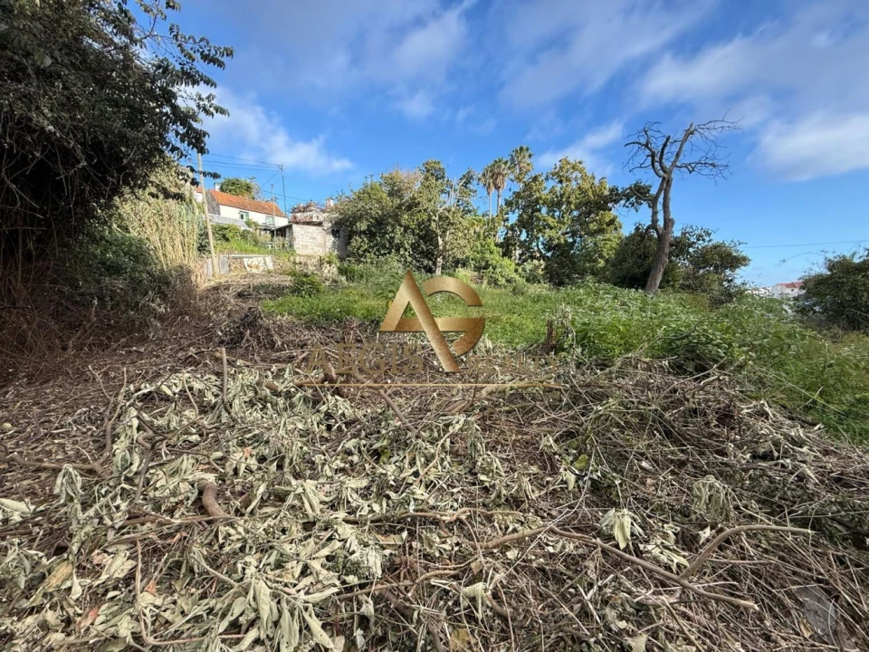 Terreno para Venda em Caniço Foto 28