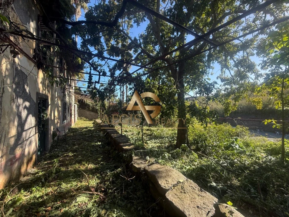 Terreno para Venda em Caniço Foto 16