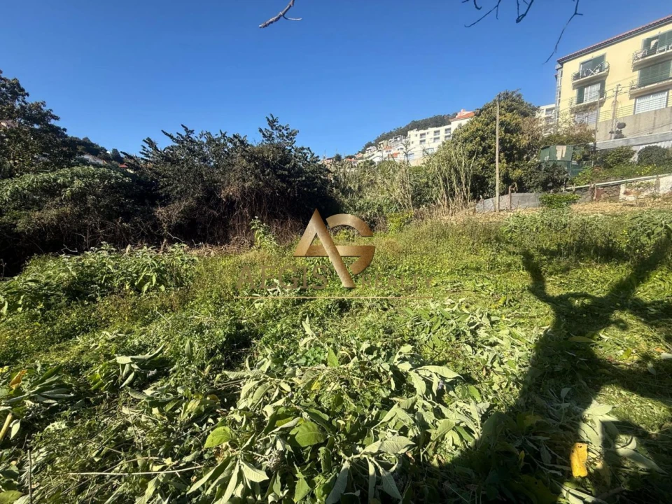 Terreno para Venda em Caniço Foto 30