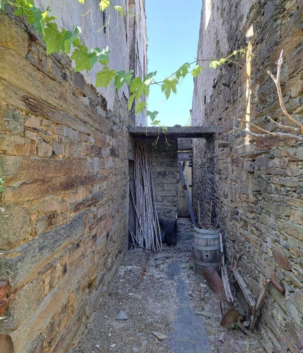 Terreno para Venda em Vila Nova de Foz Côa Foto 6
