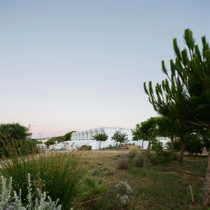 Moradia T3 para Venda em Olhão Foto 28