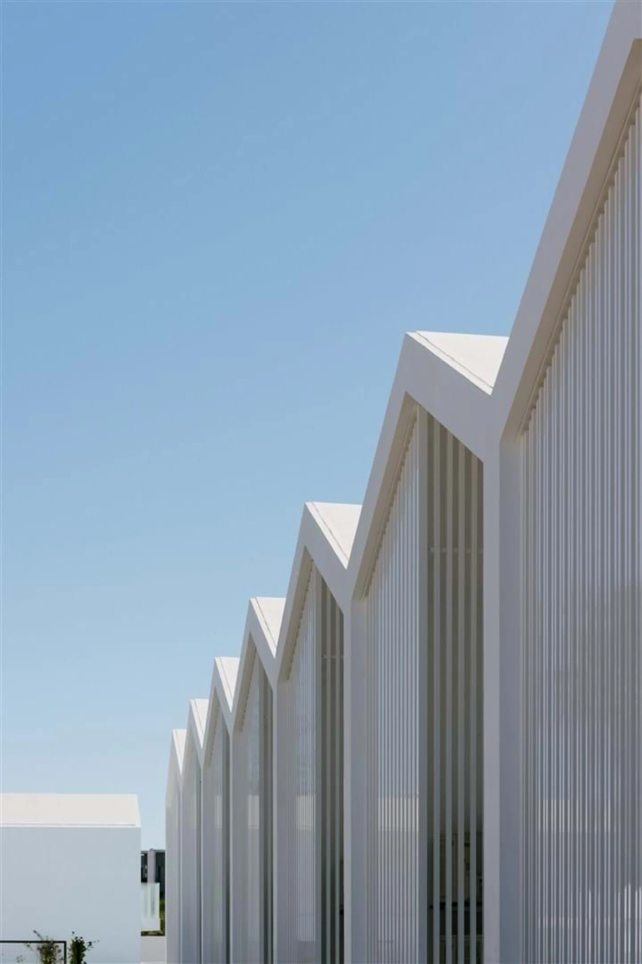 Moradia T3 para Venda em Olhão Foto 39