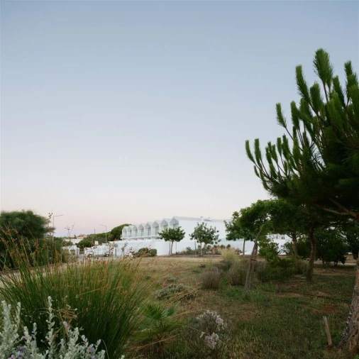 Moradia T3 para Venda em Olhão Foto 41