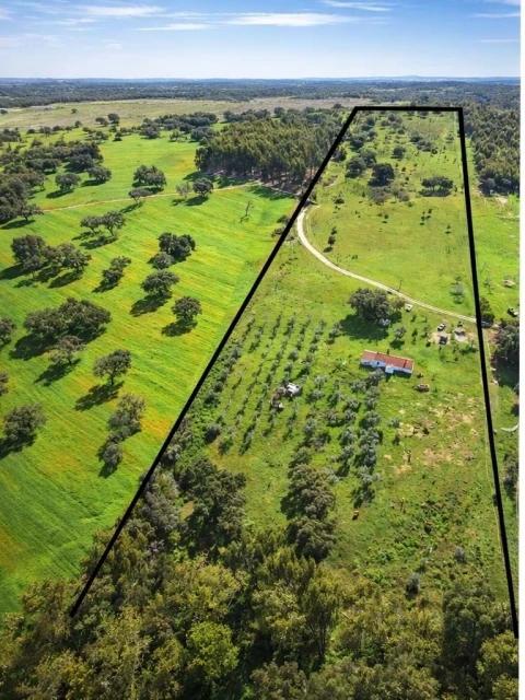 Quinta para Venda em Santiago do Cacém, Santa Cruz e São Bartolomeu da Serra