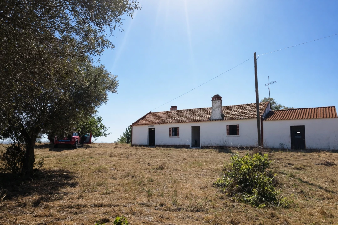 Quinta para Venda em Santiago do Cacém, Santa Cruz e São Bartolomeu da Serra Foto 1