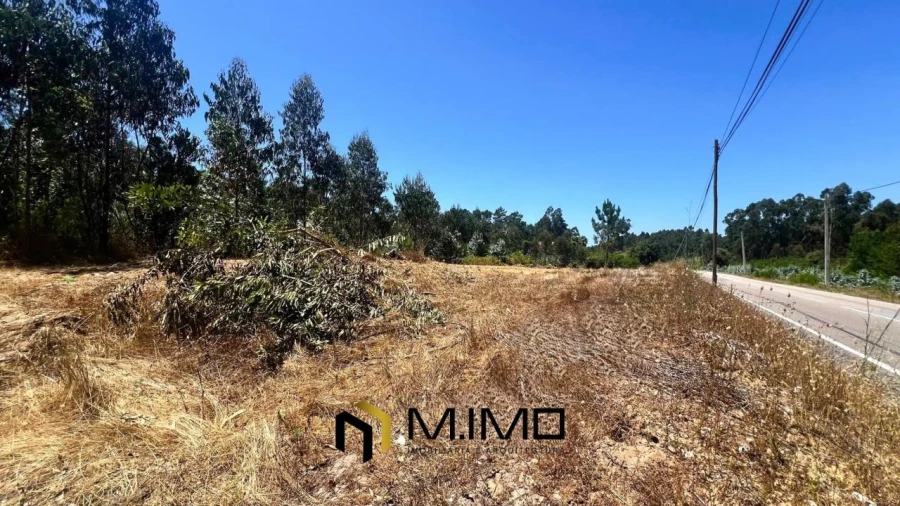 Terreno para Venda em Quiaios Foto 2