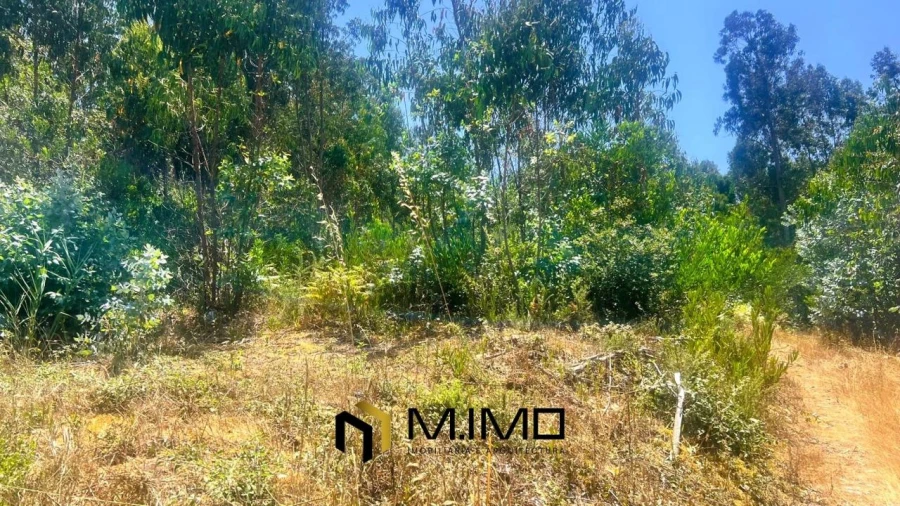 Terreno para Venda em Quiaios Foto 9