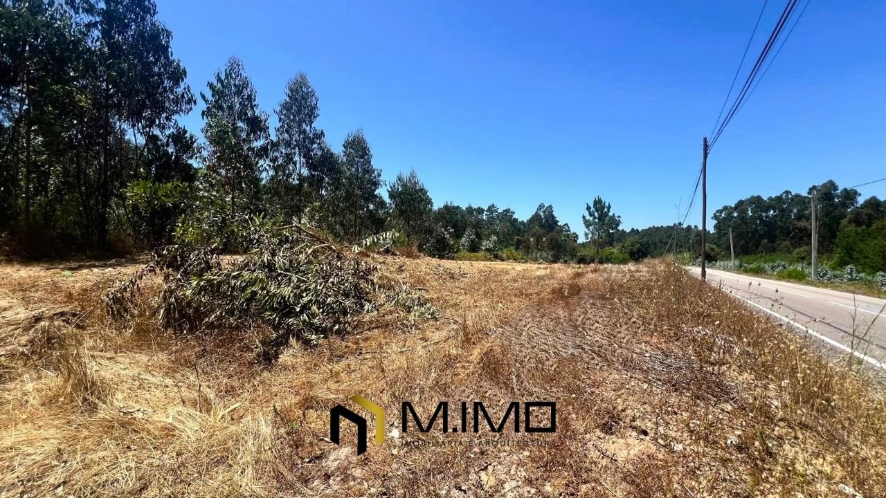 Terreno para Venda em Quiaios Foto 2