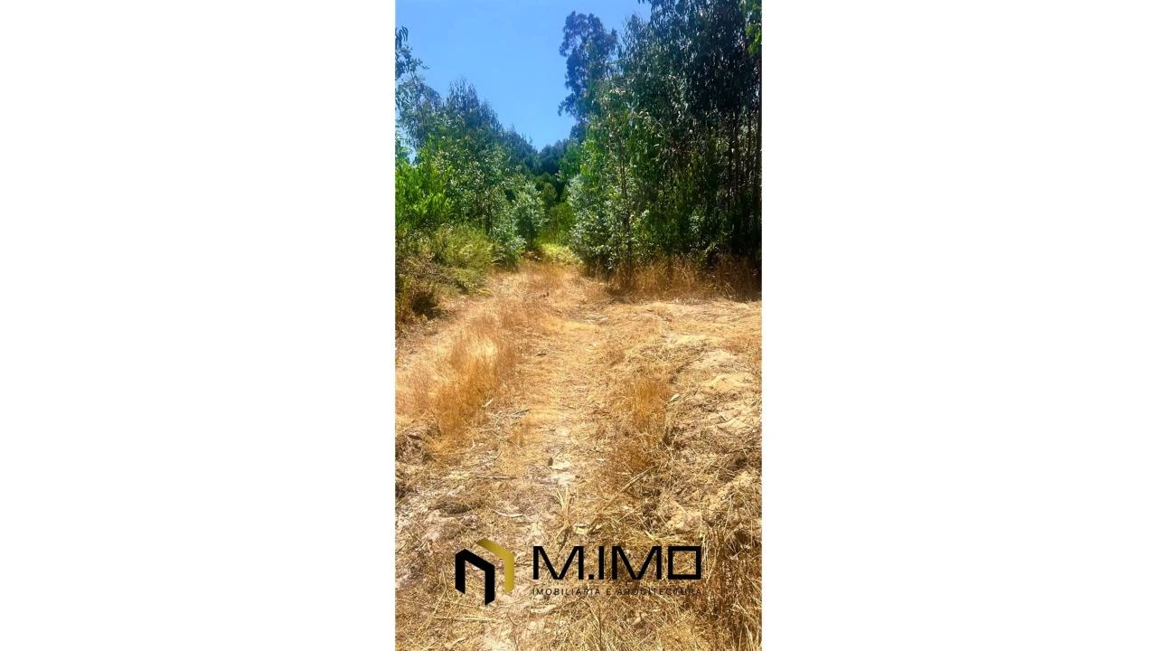 Terreno para Venda em Quiaios Foto 7