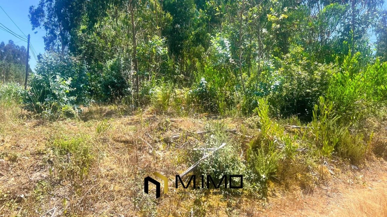 Terreno para Venda em Quiaios Foto 8